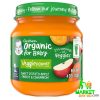 Gerber Organic Sweet Potato Apple Carrot & Cinnamon Puree – Healthy Baby Food for 6+ Months