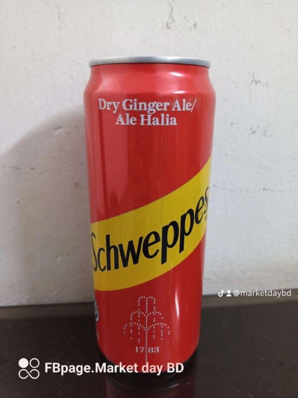 Schweppes Ginger Ale 330 ml